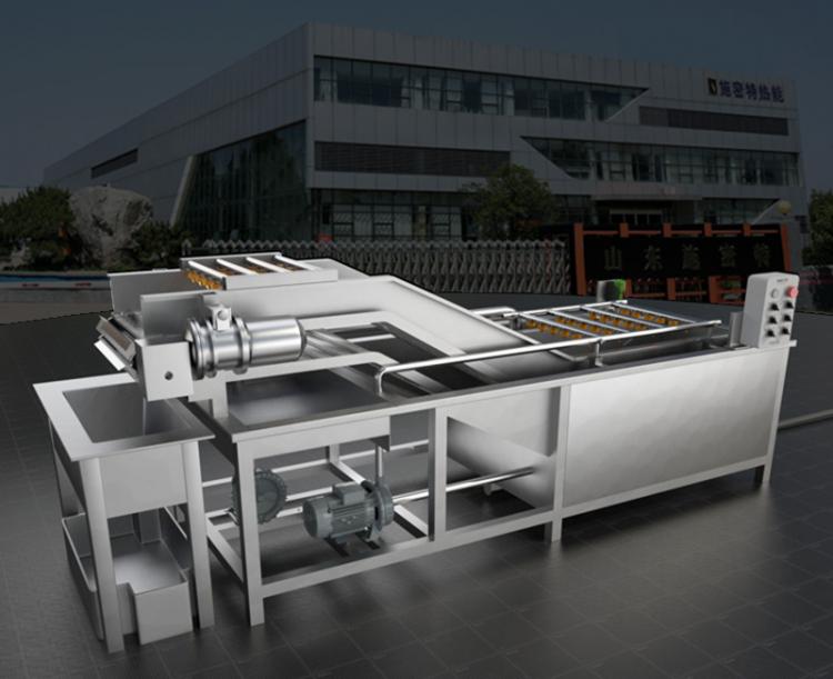 果蔬氣泡消毒機(jī)